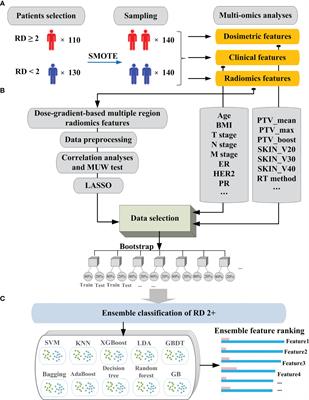 A Bayesian optimization tunning integrated multi-stacking classifier framework for the prediction of radiodermatitis from 4D-CT of patients underwent breast cancer radiotherapy